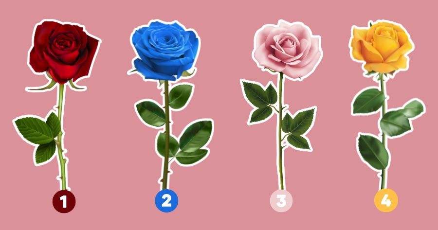 Choose A Rose To Test How Many People Will Ask You Out On Valentine's Day?