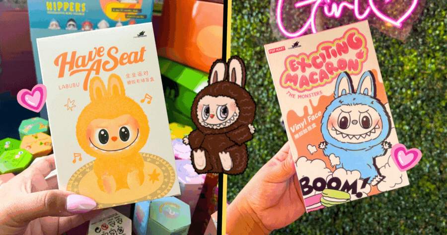 What Kind Of Labubu Blind Box Would You Open?